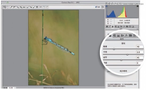 photoshop详细解析5种照片的锐化技巧,PS教程