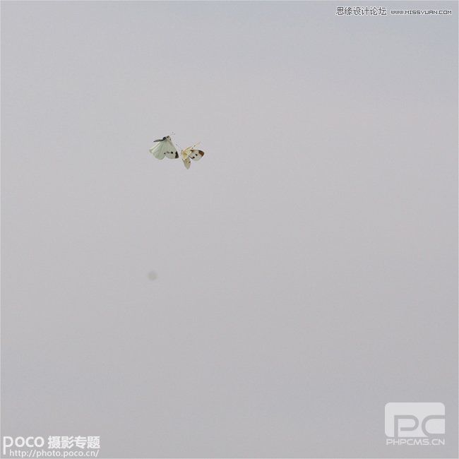 Photoshop合成绚丽背景前飞舞的蝴蝶教程,PS教程