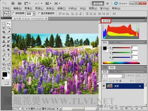 Photoshop使用直方图分析图像色彩,PS教程