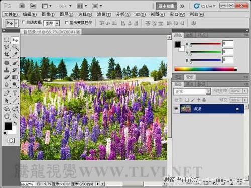 Photoshop使用直方图分析图像色彩,PS教程