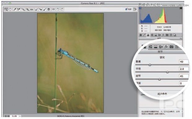photoshop详细解析5种照片的锐化技巧,PS教程