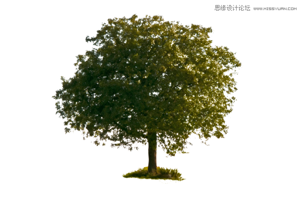 Photoshop详细解析蒙版工具的使用技巧,PS教程