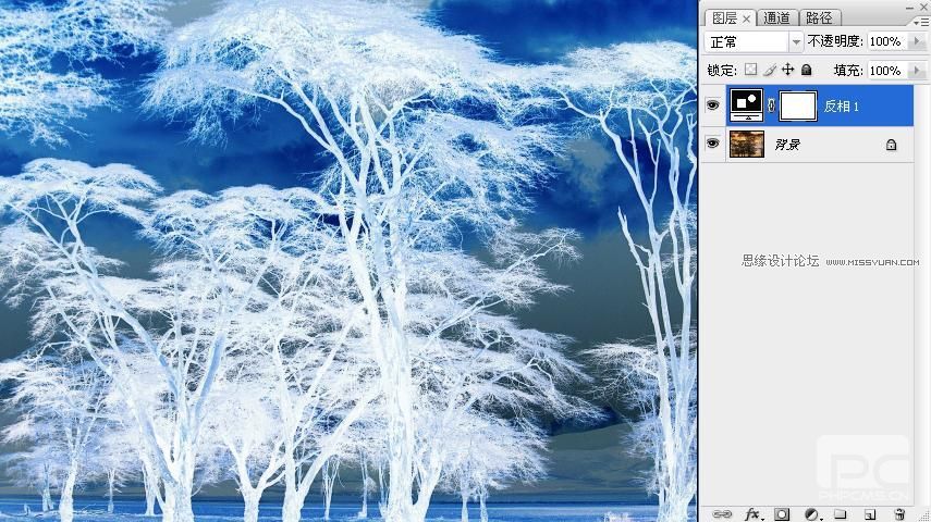 Photoshop抠图教程:抠出复杂的树林