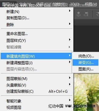 Photoshop调出花朵静物照片唯美粉色调,PS教程