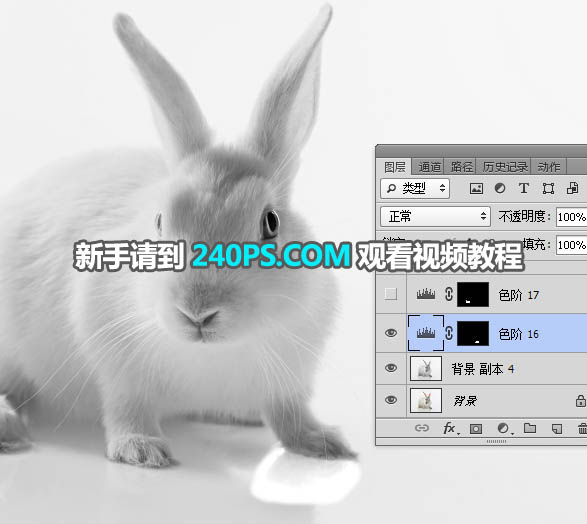 PS抠图教程,怎样用通道和蒙版快速抠抠出小白兔图片