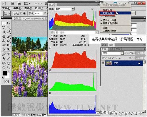 Photoshop使用直方图分析图像色彩,PS教程