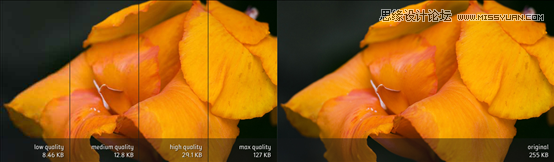 Photoshop将图片存储为WEB所用格式技巧,PS教程