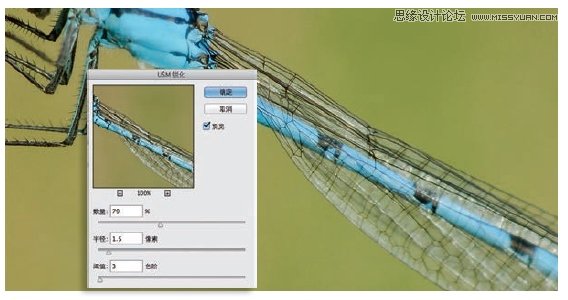 Photoshop详细解析5种照片的锐化技巧,PS教程