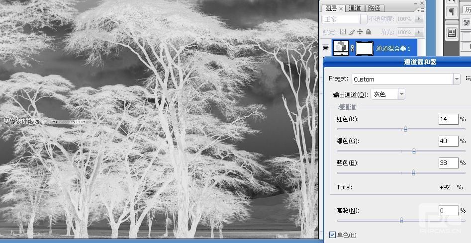 Photoshop抠图教程:抠出复杂的树林