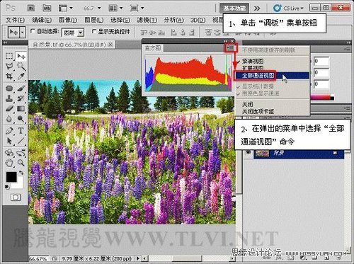 Photoshop使用直方图分析图像色彩,PS教程