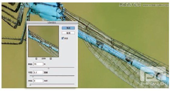Photoshop详细解析5种照片的锐化技巧,PS教程