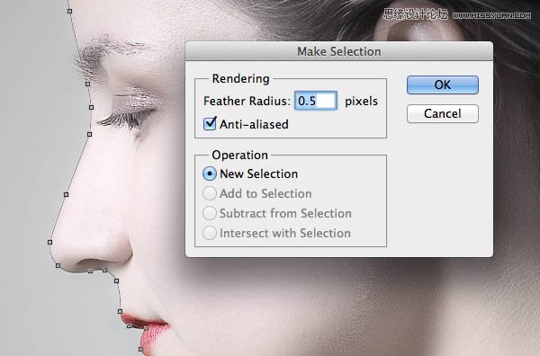 Photoshop制作人像和风景照片双重曝光效果,PS教程