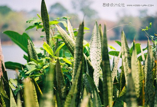 Photoshop结合LR制作小清新胶片风格,PS教程