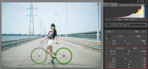 Photoshop结合LR打造唯美的小清新色调,PS教程
