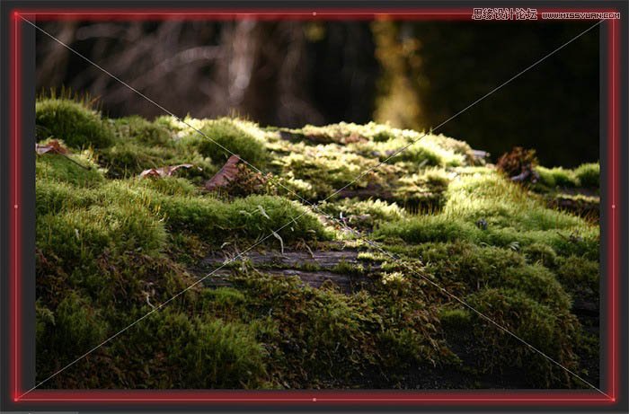 PhotoshopϳħɭʩС,PS̳