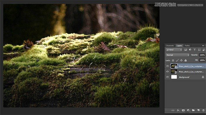 PhotoshopϳħɭʩС,PS̳