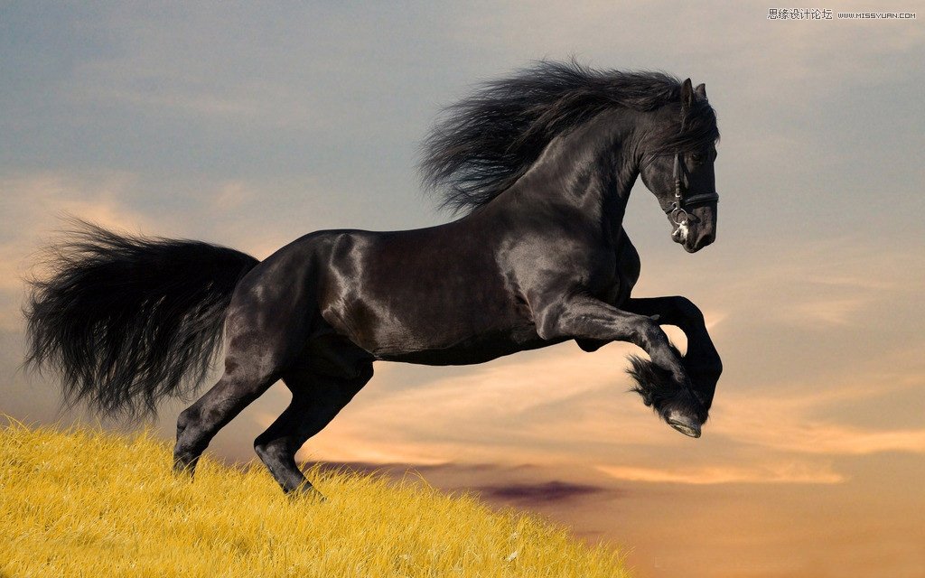 PhotoshopˮīˢġˮīЧ,PS̳