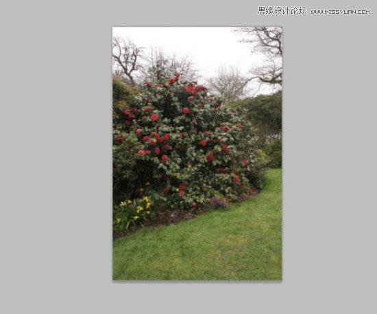 Photoshopϳɰ˿ɾⳡ,PS̳