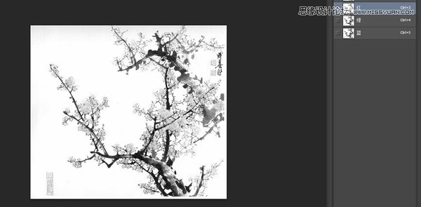 Photoshop巧用通道工具快速抠出中国风梅花,PS教程