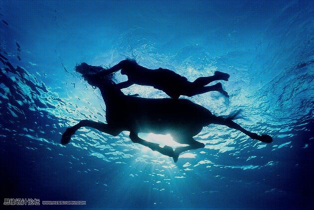 PhotoshopϸĸƬӳ˿,PS̳