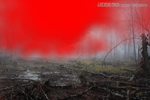 Photoshopƿֲʥں̳,PS̳