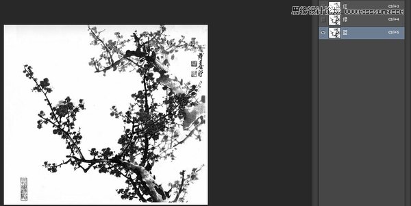 Photoshop巧用通道工具快速抠出中国风梅花,PS教程