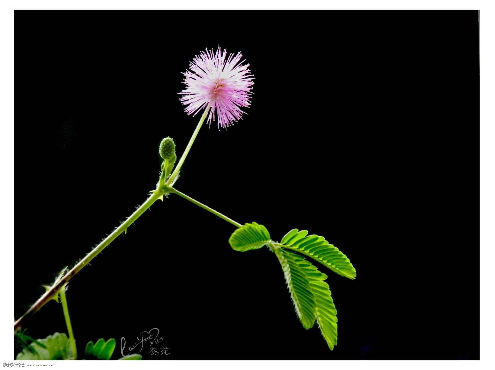 PhotoshopͨڳĹӰЧ,PS̳