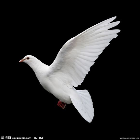 PhotoshopƳ2015̳,PS̳