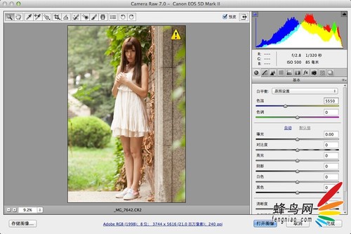 PhotoshopϵɫŮƬ