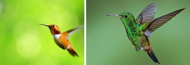 Photoshop÷Ա̳,PS̳