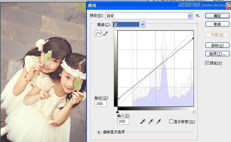 PhotoshopͯƬŵɫЧ,PS̳