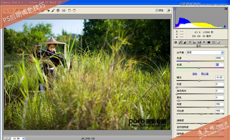 Photoshop调出草丛剑客秋季淡黄色调,PS教程