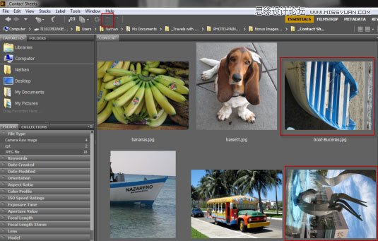ϸPhotoshopϵߵʹ÷,PS̳
