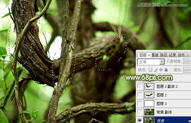 Photoshop制作创意的树藤艺术字教程,PS教程