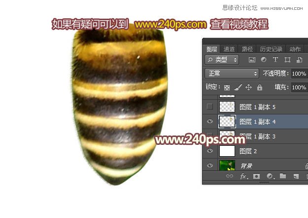 Photoshop制作可爱的蜜蜂纹理艺术字教程