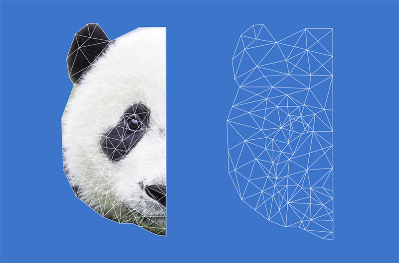 Photoshop制作低多边形特效的熊猫头像,PS教程,