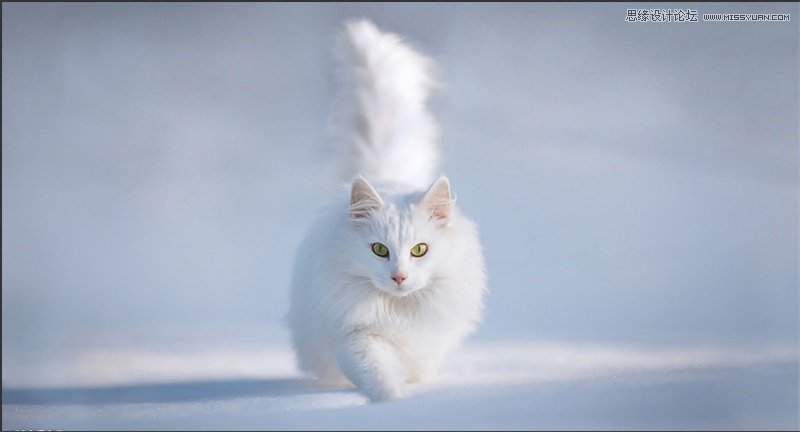ϸphotoshopԵڿͼʵӦ