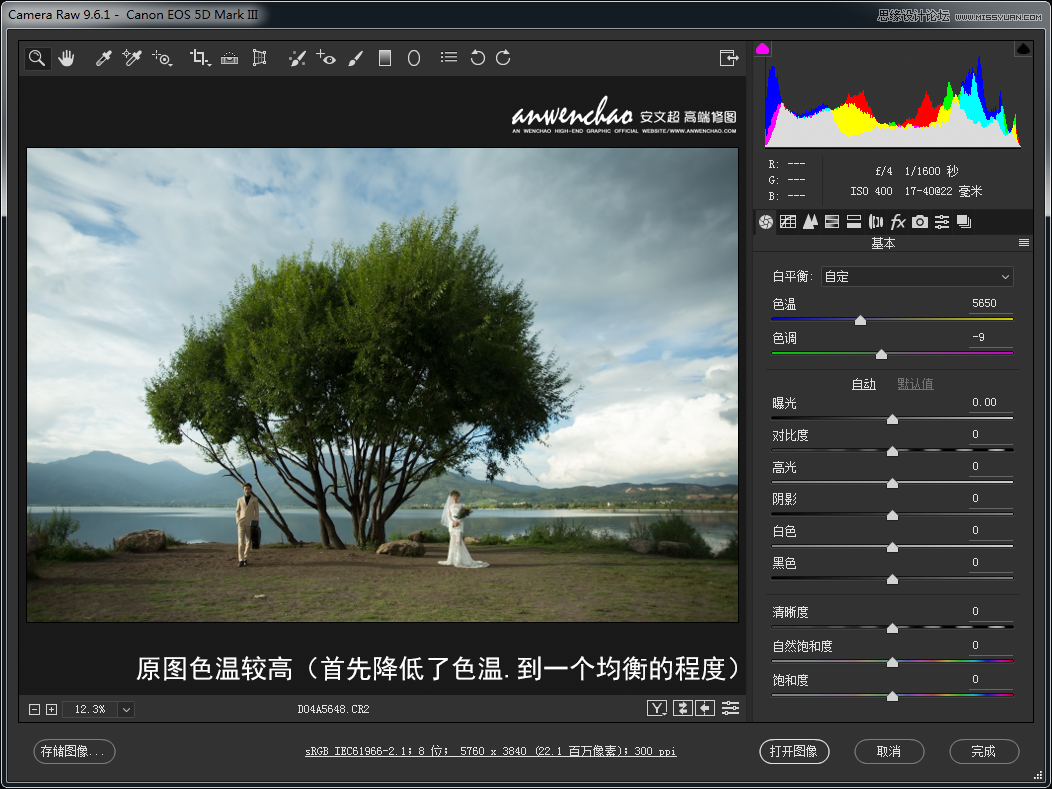 Photoshop调出干净透亮清新的外景婚纱照片