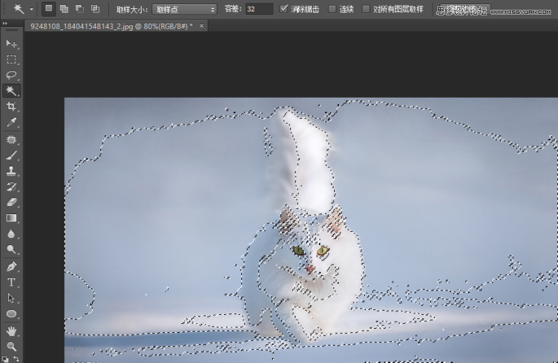 ϸPhotoshopԵڿͼʵӦ