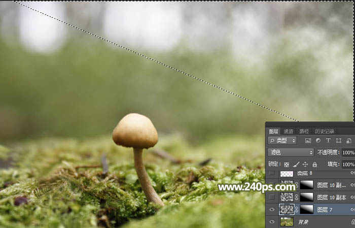 PhotoshopϳĢϵСʹͼƬ