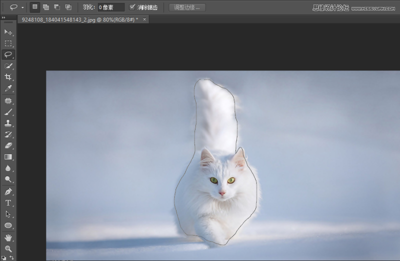 ϸPhotoshopԵڿͼʵӦ