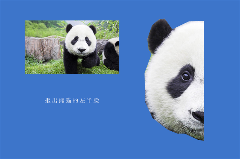Photoshop制作低多边形特效的熊猫头像,PS教程,