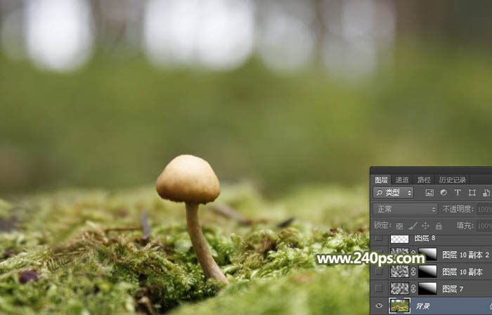 PhotoshopϳĢϵСʹͼƬ