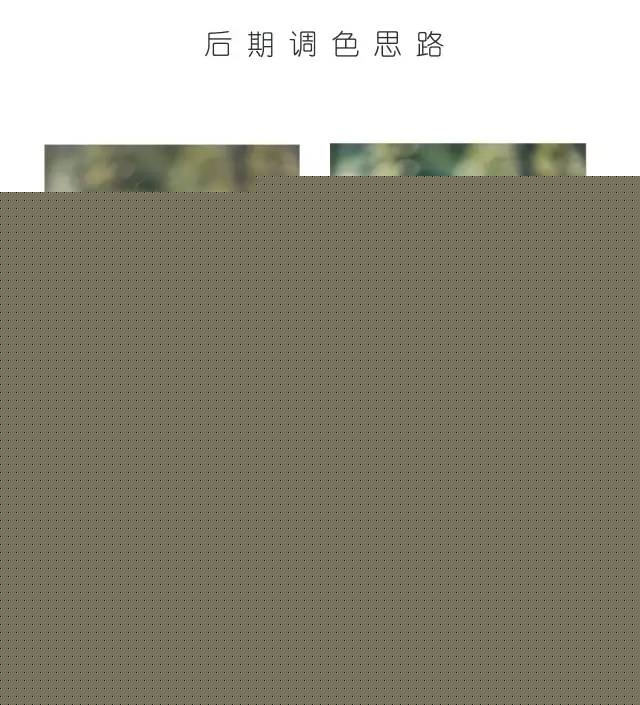 Photoshop⾰ɴƬͨ͸Ч,PS̳,