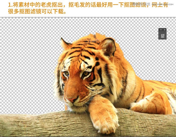 PPhotoshopϳɭϻǰƵŮƬ