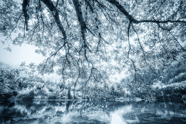 PhotoshopLR羰ƬΨɫ,PS̳,