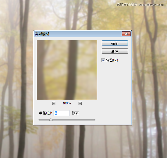 Photoshop合成在树林下看书的美女梦幻场景