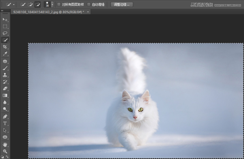 Photoshop详细解析调整边缘在抠图实例中应用