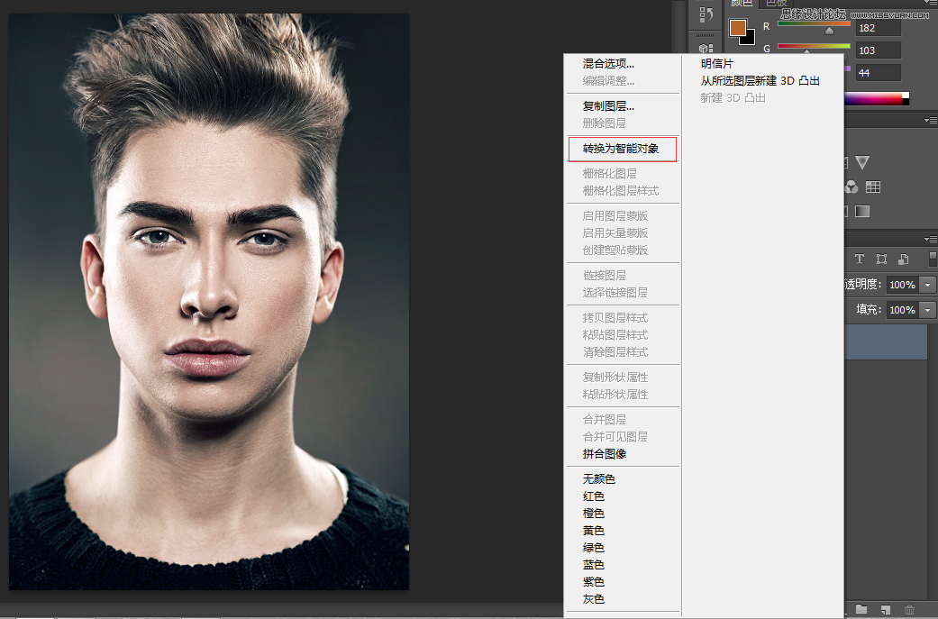 Photoshop给人像面部添加逼真的彩绘效果图