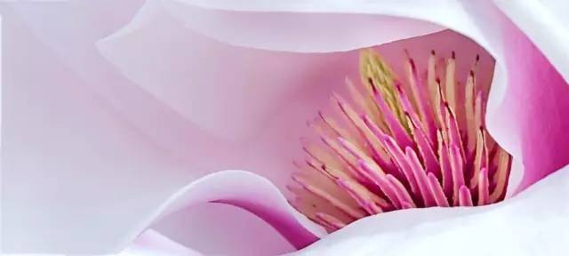 PhotoshopٽƫɫĻ侲Ƭ,PS̳,